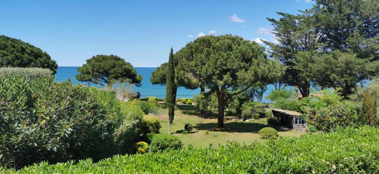 Villa I Merli Nous Contacter Avant Reservation サン・フロラン エクステリア 写真